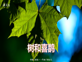 人教版（部编版）语文一年级下册：课文6树和喜鹊课件PPT