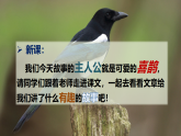 人教版（部编版）语文一年级下册：课文6树和喜鹊课件PPT