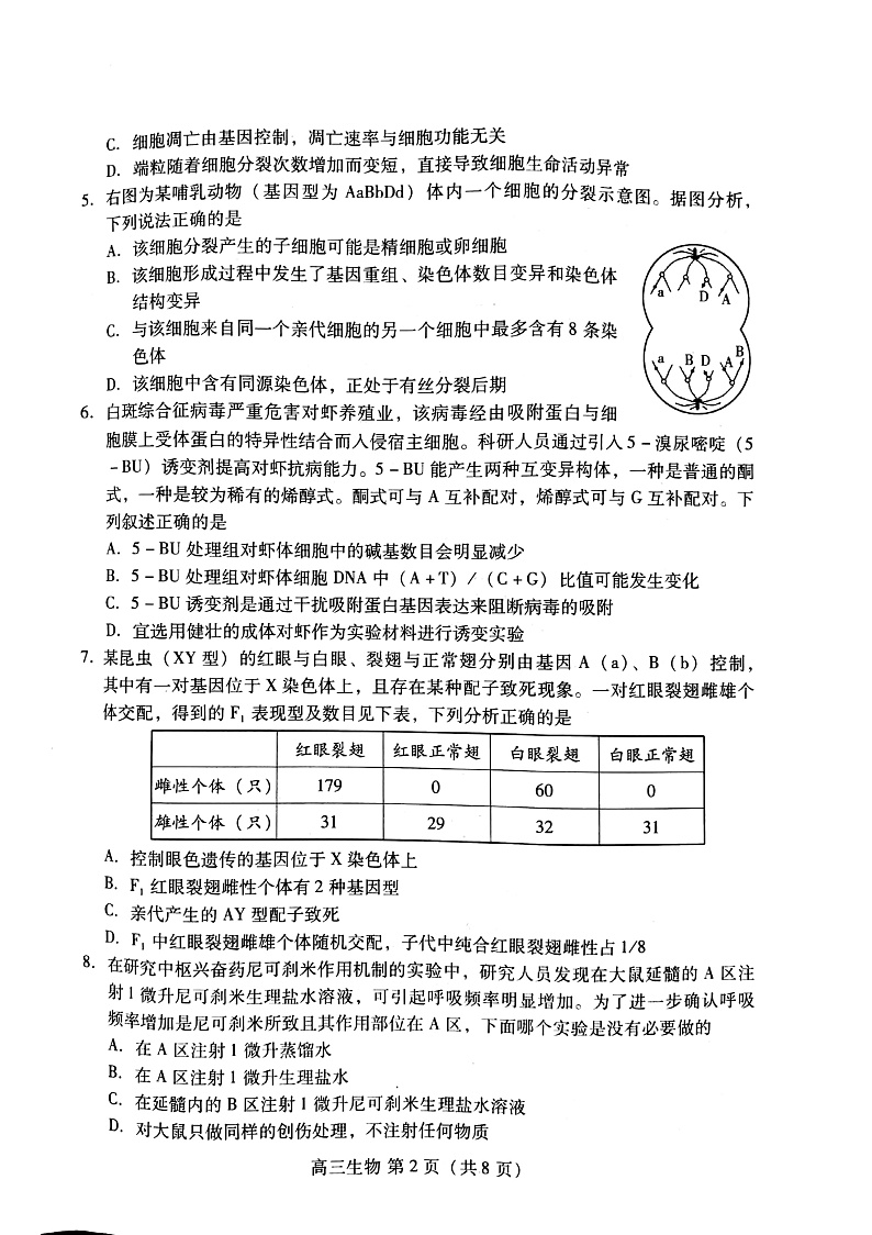 山东省潍坊市2020届高三一模考试生物试题第2页