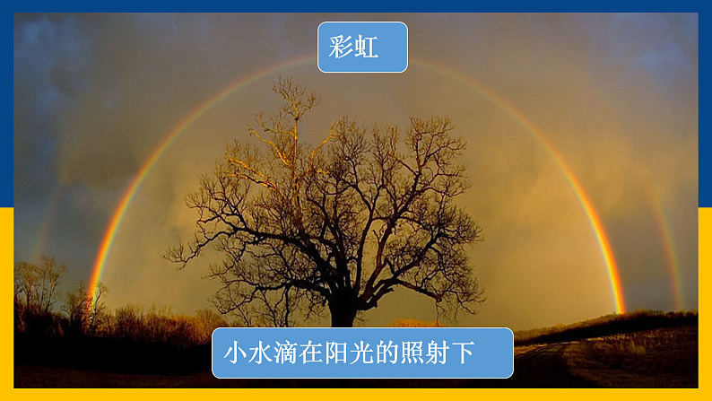 4.8  走进彩色世界（课件+教案+导学案+练习）（教科版）05