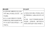 1.2 第3課時　核酸的種類及功能、生物組織中有機(jī)物的檢測-課件浙科版（2019）高中生物必修一