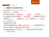 1.2 第3課時　核酸的種類及功能、生物組織中有機(jī)物的檢測-課件浙科版（2019）高中生物必修一