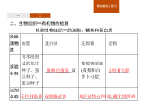 1.2 第3課時　核酸的種類及功能、生物組織中有機(jī)物的檢測-課件浙科版（2019）高中生物必修一