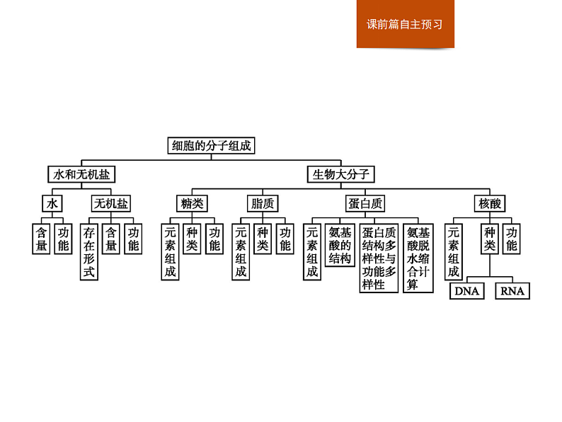 第一章　章末整合-课件浙科版（2019）高中生物必修一02