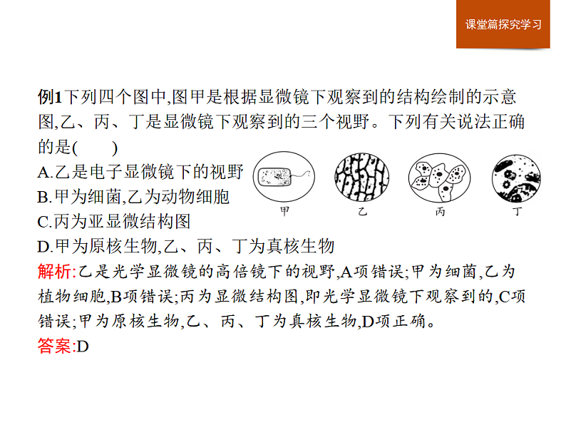 第二章　章末整合-课件浙科版（2019）高中生物必修一04