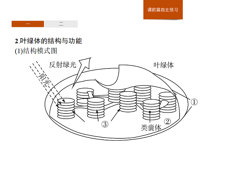 3.5 第1课时　光合作用概述、光合色素的提取与分离-课件浙科版（2019）高中生物必修一04
