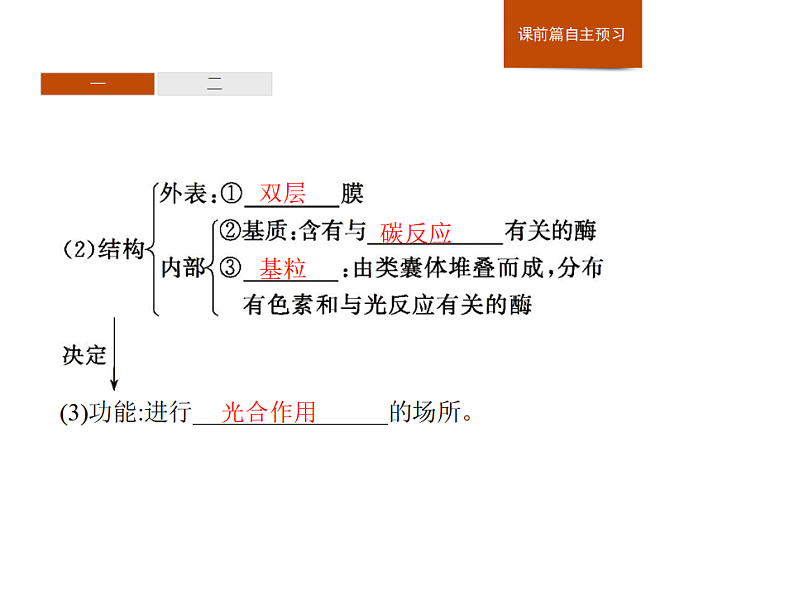3.5 第1课时　光合作用概述、光合色素的提取与分离-课件浙科版（2019）高中生物必修一05