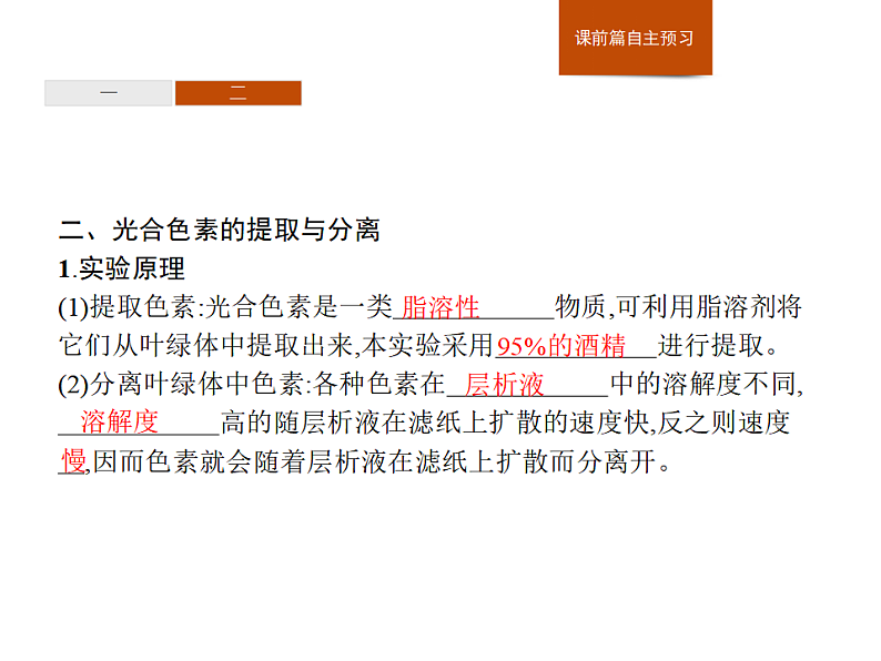 3.5 第1课时　光合作用概述、光合色素的提取与分离-课件浙科版（2019）高中生物必修一08