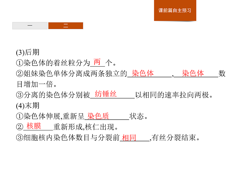 4.1 第1课时　细胞周期及有丝分裂过程中染色体的行为变化…-课件浙科版（2019）高中生物必修一07