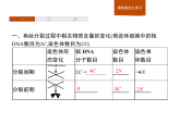 4.1 第2课时　细胞分裂过程中相关物质含量的变化及细胞癌变-课件浙科版（2019）高中生物必修一