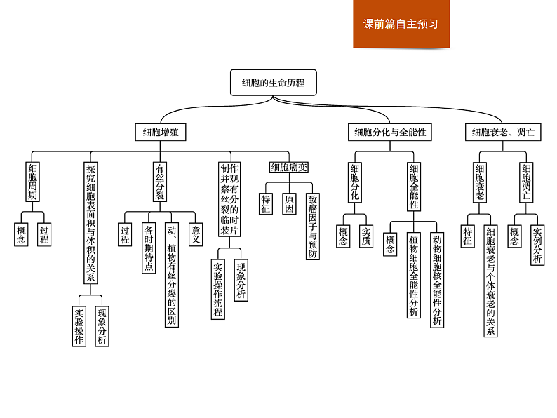 第四章　章末整合-课件浙科版（2019）高中生物必修一02
