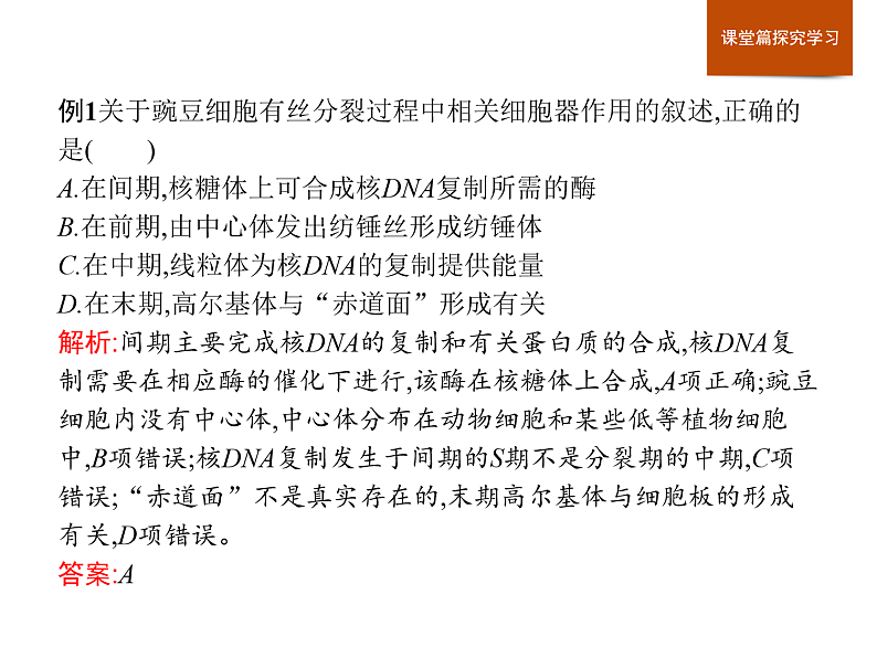 第四章　章末整合-课件浙科版（2019）高中生物必修一04