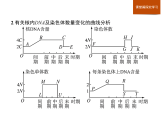 第四章　章末整合-课件浙科版（2019）高中生物必修一