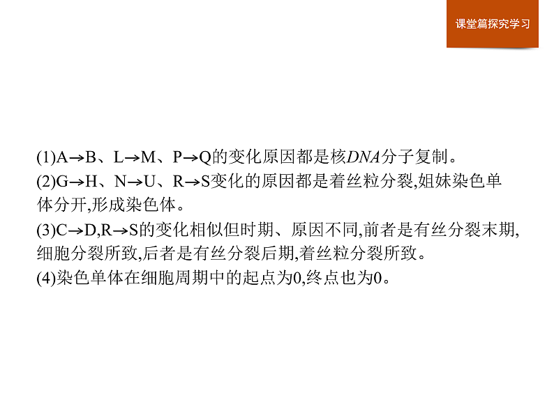 第四章　章末整合-课件浙科版（2019）高中生物必修一06