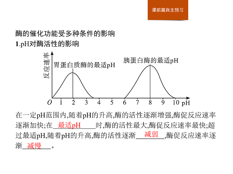 3.2 第2课时　酶的催化功能受多种条件的影响-课件浙科版（2019）高中生物必修一03