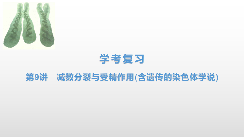 学考复习9减数分裂与受精作用(含遗传的染色体学说) 课件 2021届浙江高考生物学考复习（浙科版（2019））第1页