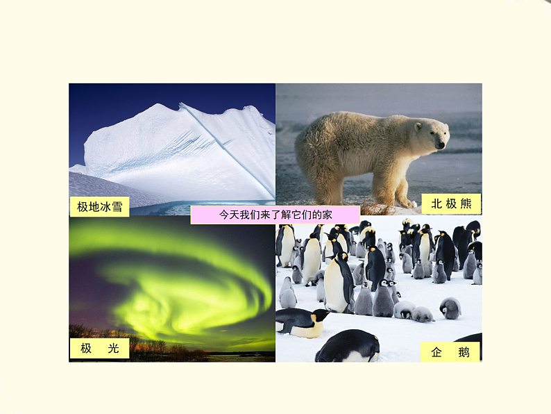 湘教版地理七下第七章第五节北极地区和南极地区 PPT课件第2页