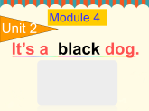 Unit 2 It's a black dog課件PPT