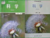2教科版科学 .  观察一棵植物课件PPT