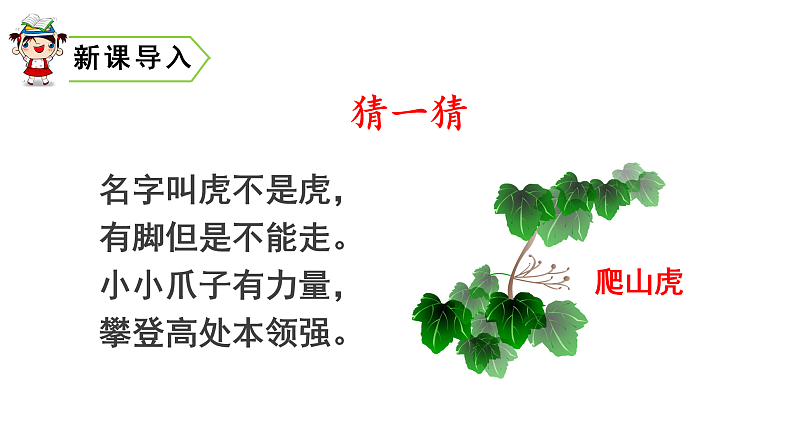 10 爬山虎的脚　课件 　01