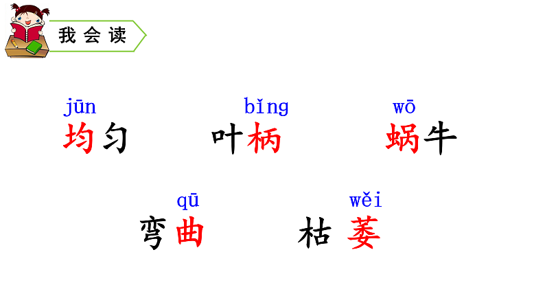 10 爬山虎的脚　课件 　07