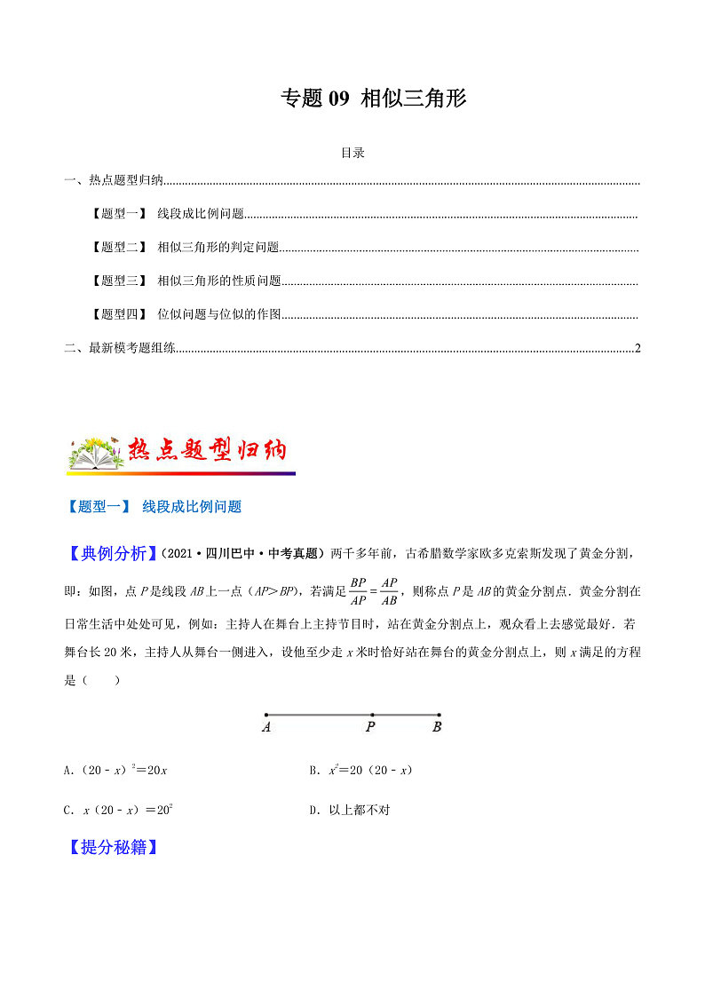 专题09 相似三角形（学生版）第1页