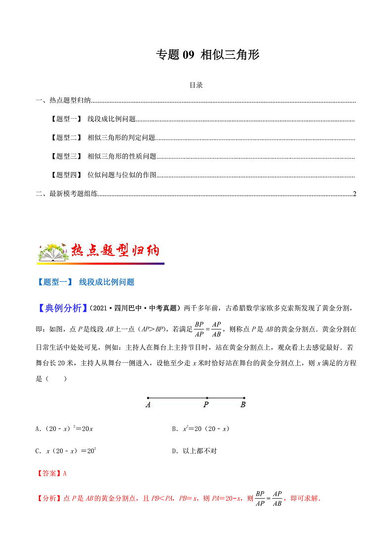 专题09 相似三角形（教师版）第1页