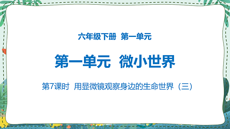 第7课时  用显微镜观察身边的生命世界（三）第1页