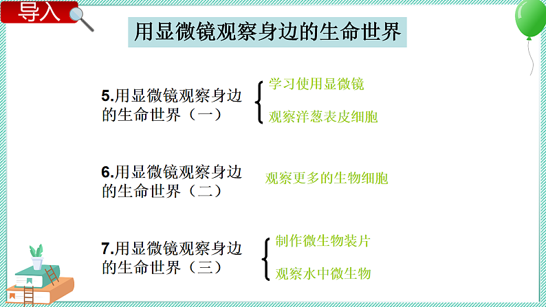 第7课时  用显微镜观察身边的生命世界（三）第2页