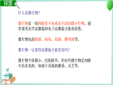 1.7 用显微镜观察身边的生命世界（三） 课件PPT+教案