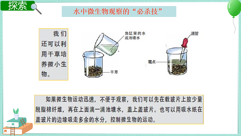 第7课时  用显微镜观察身边的生命世界（三）第6页