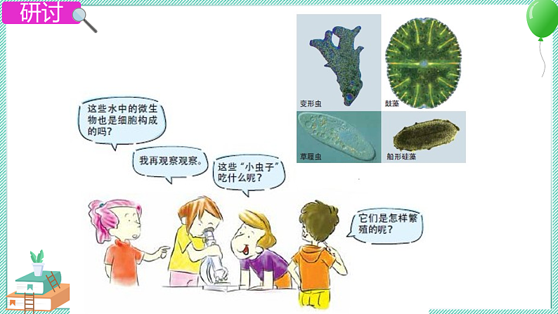 第7课时  用显微镜观察身边的生命世界（三）第7页