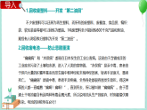 4.4 分类和回收利用 课件PPT+教案