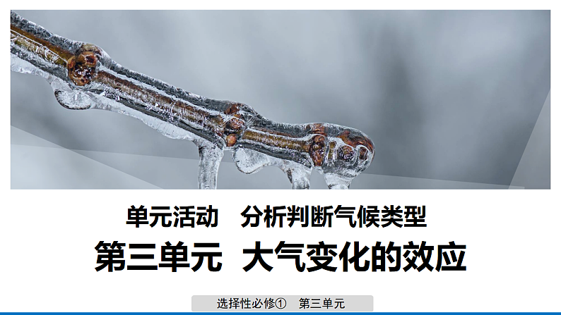 第三单元 单元活动 分析判断气候类型 课件-鲁教版（2019）选择性必修一地理01