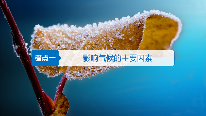 第三单元 单元活动 分析判断气候类型 课件-鲁教版（2019）选择性必修一地理04