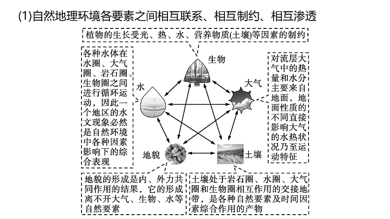 5.2 自然环境的整体性 课件-鲁教版（2019）选择性必修一地理08