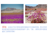 2.3生物圈与植被（课件）-2020-2021学年高一同步课堂（新教材鲁教版必修第一册）