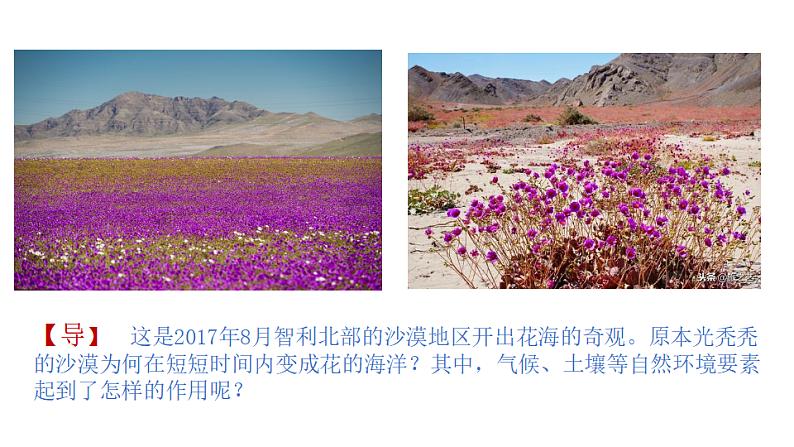 2.3生物圈与植被（课件）-2020-2021学年高一同步课堂（新教材鲁教版必修第一册）02