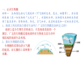 2.3生物圈与植被（课件）-2020-2021学年高一同步课堂（新教材鲁教版必修第一册）