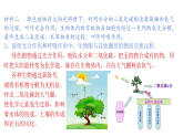2.3生物圈与植被（课件）-2020-2021学年高一同步课堂（新教材鲁教版必修第一册）