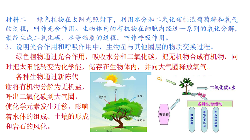 2.3生物圈与植被（课件）-2020-2021学年高一同步课堂（新教材鲁教版必修第一册）05