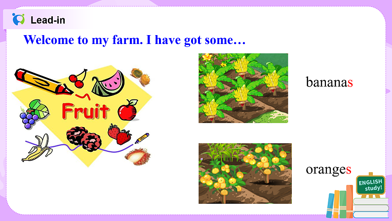 We’ve got lots of apples 课件第4页