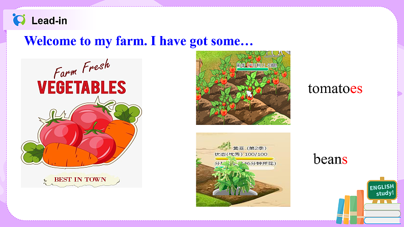 We’ve got lots of apples 课件第7页