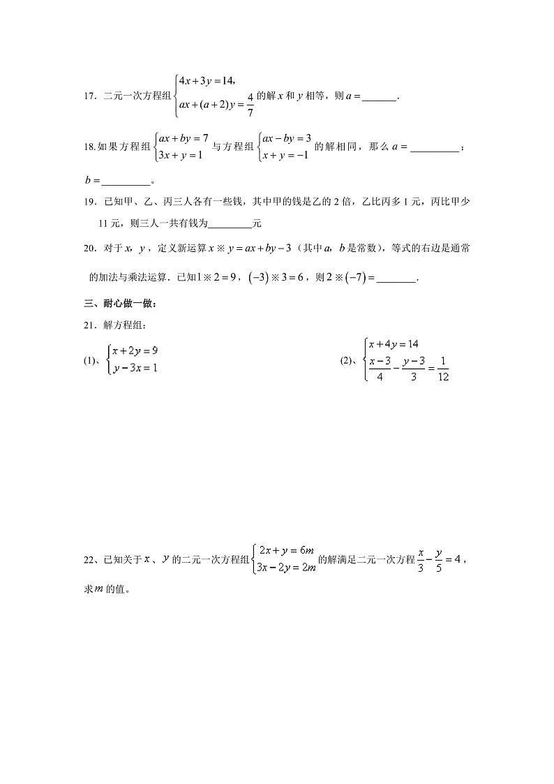 苏科版数学七年级下册《二元一次方程组》单元测试卷04（含答案）第3页