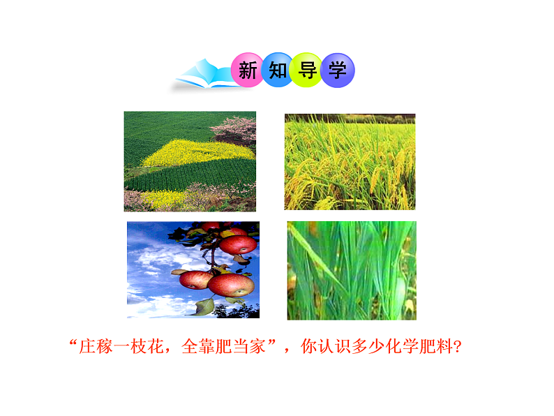 京改版九年级下册化学 12.3化学肥料 课件03