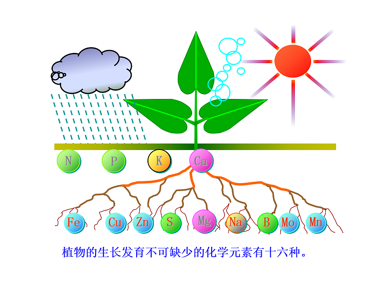 京改版九年级下册化学 12.3化学肥料 课件04
