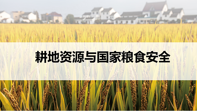 2.1耕地资源与国家粮食安全（课件）-高二地理同步（湘教版2019选择性必修3）02