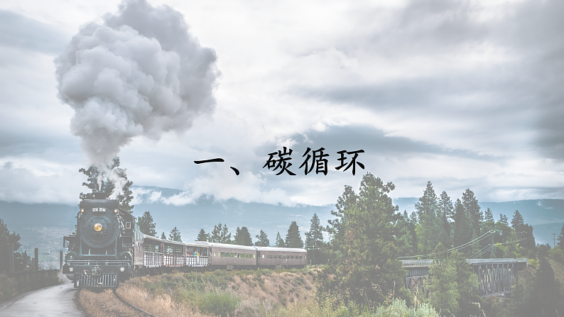 3.1 碳排放与国际减排合作（课件）-2020-2021学年高二地理同步备课系列（新教材湘教版选择性必修3）04