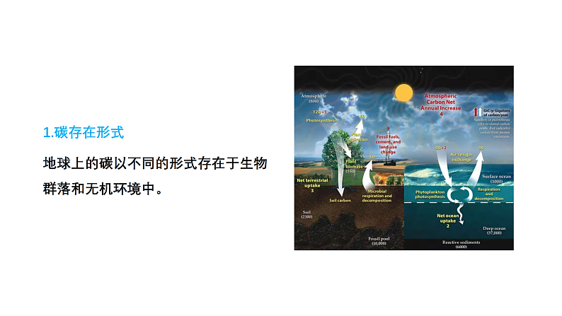 3.1 碳排放与国际减排合作（课件）-2020-2021学年高二地理同步备课系列（新教材湘教版选择性必修3）05