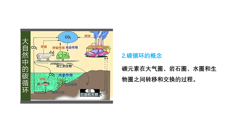 3.1 碳排放与国际减排合作（课件）-2020-2021学年高二地理同步备课系列（新教材湘教版选择性必修3）06